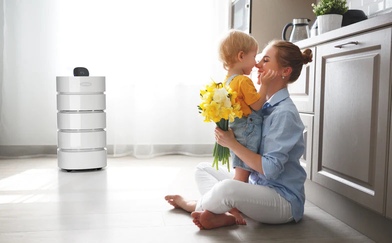 Load image into Gallery viewer, Carrier Air Purifier
