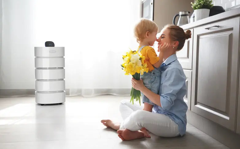 Load image into Gallery viewer, Carrier Cooling, Carrier Cooling Mississauga, Carrier Cooling Toronto fireplace mississauga.