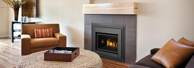 Load image into Gallery viewer, Regency Gas Insert, Regency Gas Insert Mississauga, Regency Gas Insert Toronto fireplace mississauga.