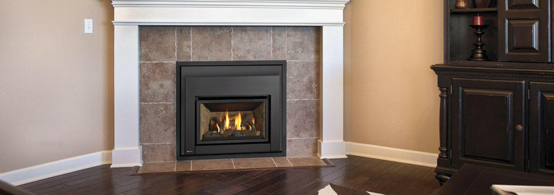 Load image into Gallery viewer, Regency Gas Insert, Regency Gas Insert Mississauga, Regency Gas Insert Toronto fireplace mississauga.