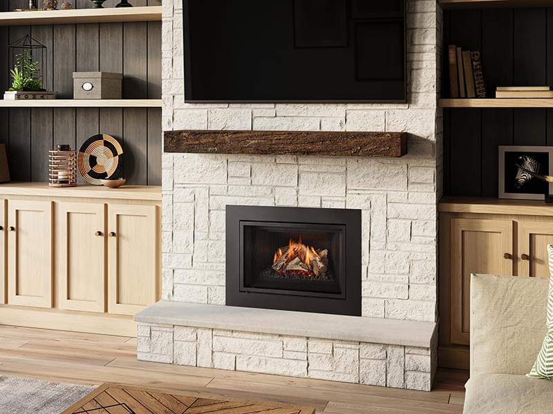 Load image into Gallery viewer, Regency® Atmosphere Gi27LE Gas Insert