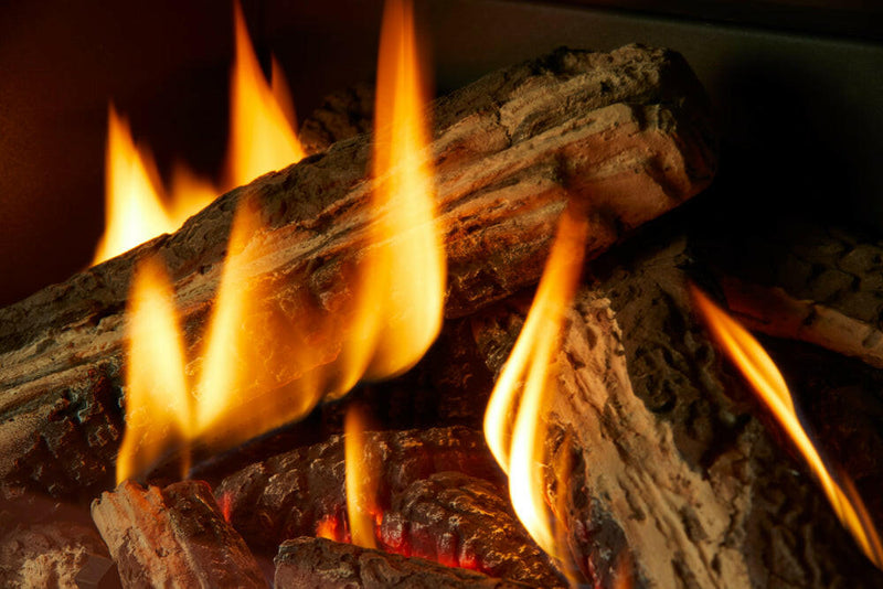 Load image into Gallery viewer, Fireplaces Regency Mississauga (GI29LE GAS INSERT).