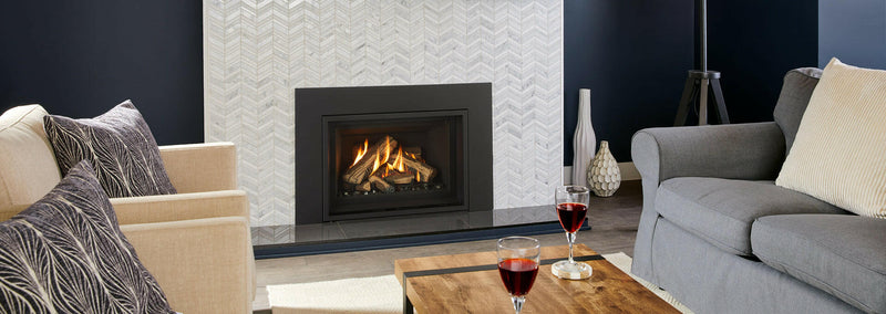 Load image into Gallery viewer, Fireplaces Regency Mississauga (GI29LU Gas Insert).