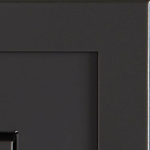 Load image into Gallery viewer, Fireplaces Regency Mississauga (GI29LE GAS INSERT).