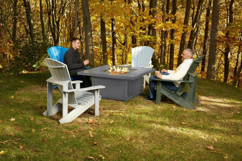 Load image into Gallery viewer, Napoleon Outdoor Fireplaces, Napoleon Outdoor Fireplaces Mississauga, Napoleon Outdoor Fireplaces Toronto fireplace mississauga.