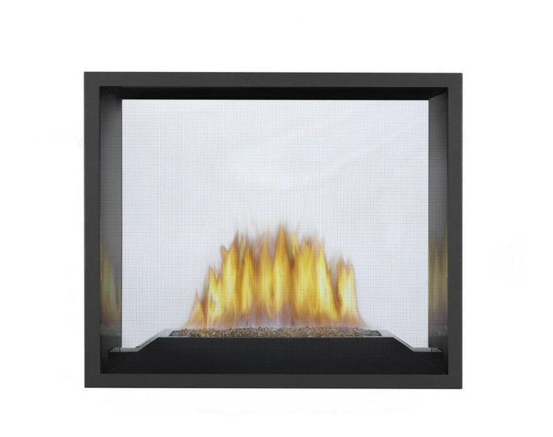 Load image into Gallery viewer, Napoleon Fireplaces, Napoleon Fireplaces Mississauga, Napoleon Fireplaces Toronto fireplace mississauga.