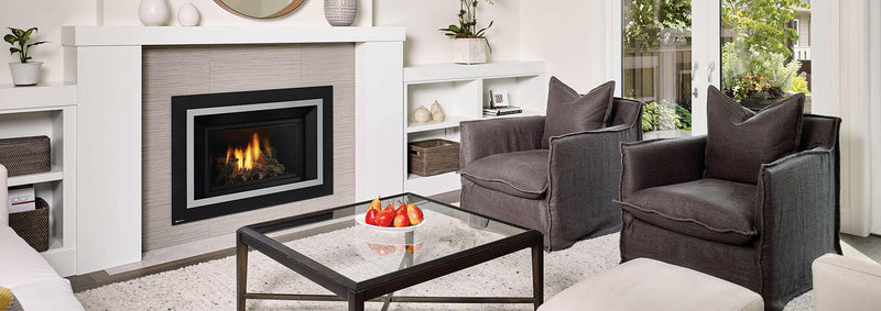 Load image into Gallery viewer, Fireplaces Regency Mississauga (HRI4E Gas Insert).