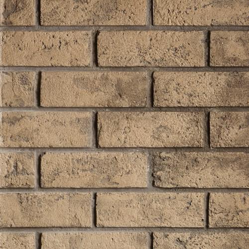Load image into Gallery viewer, Regency® Atmosphere Gi27LE Gas Insert