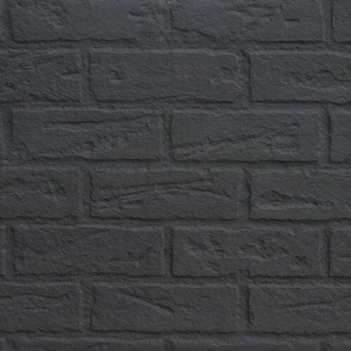 Load image into Gallery viewer, Fireplaces Regency Mississauga (GI29L Gas Insert).