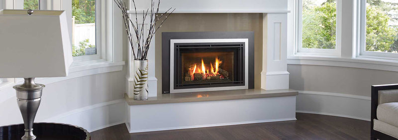 Load image into Gallery viewer, Liberty Gas Insert LR14-NG (Floor Model)