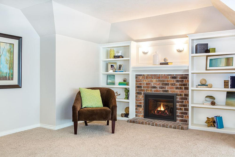 Load image into Gallery viewer, Liberty® LRI3E Regency® Gas Insert