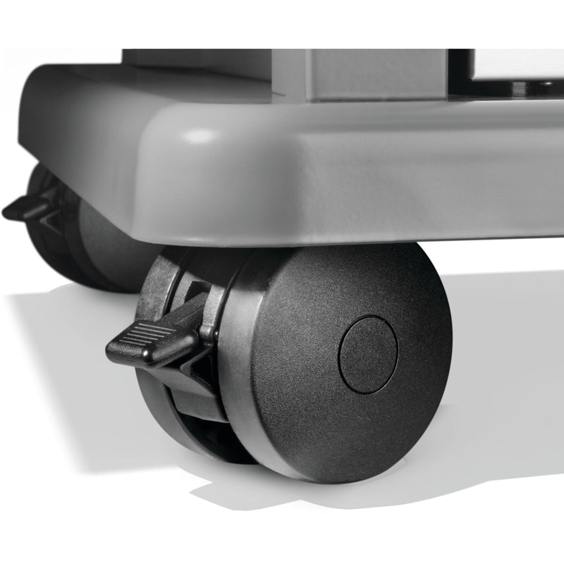 Load image into Gallery viewer, Napoleon Barbecues, Napoleon Barbecues Mississauga, Napoleon Barbecues Toronto fireplace mississauga.