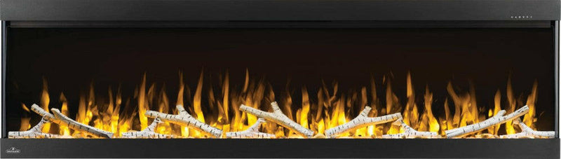 Load image into Gallery viewer, Napoleon Fireplaces, Napoleon Fireplaces Mississauga, Napoleon Fireplaces Toronto fireplace mississauga.