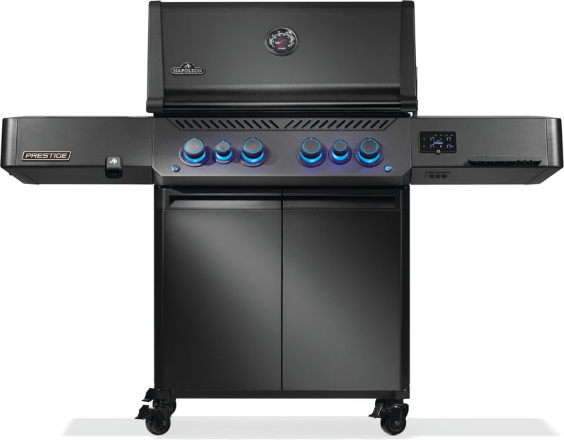 Load image into Gallery viewer, Napoleon Barbecues, Napoleon Barbecues Mississauga, Napoleon Barbecues Toronto fireplace mississauga.