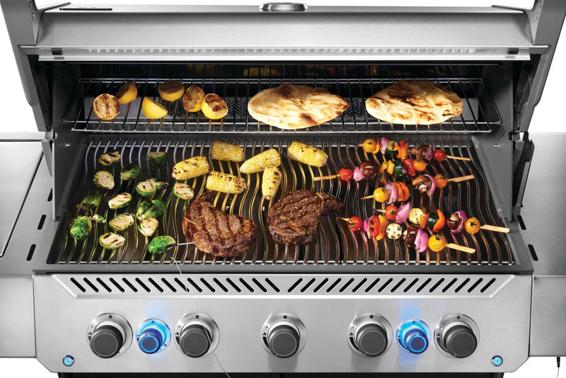 Load image into Gallery viewer, Napoleon Barbecues, Napoleon Barbecues Mississauga, Napoleon Barbecues Toronto fireplace mississauga.
