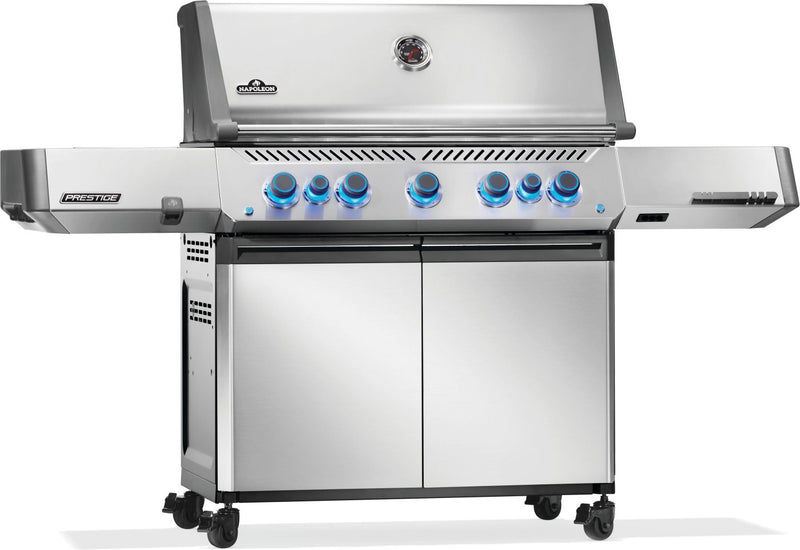 Load image into Gallery viewer, Napoleon Barbecues, Napoleon Barbecues Mississauga, Napoleon Barbecues Toronto fireplace mississauga.