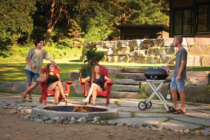 Load image into Gallery viewer, Napoleon Barbecues, Napoleon Barbecues Mississauga, Napoleon Barbecues Toronto fireplace mississauga.