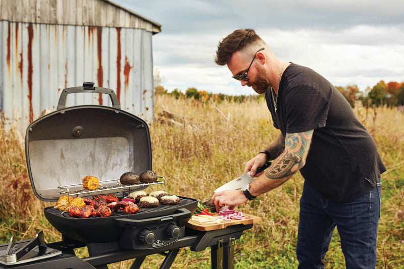 Load image into Gallery viewer, Napoleon Barbecues, Napoleon Barbecues Mississauga, Napoleon Barbecues Toronto fireplace mississauga.