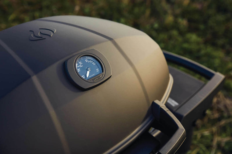 Load image into Gallery viewer, Napoleon Barbecues, Napoleon Barbecues Mississauga, Napoleon Barbecues Toronto fireplace mississauga.