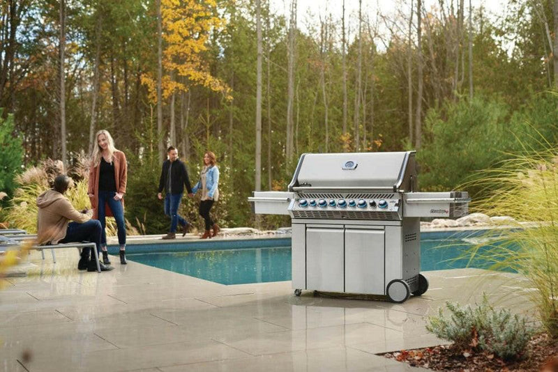 Load image into Gallery viewer, Napoleon Barbecues, Napoleon Barbecues Mississauga, Napoleon Barbecues Toronto fireplace mississauga.