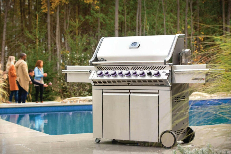 Load image into Gallery viewer, Napoleon Barbecues, Napoleon Barbecues Mississauga, Napoleon Barbecues Toronto fireplace mississauga.