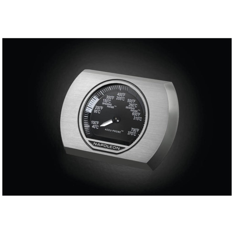 Load image into Gallery viewer, Rogue BBQ Grill