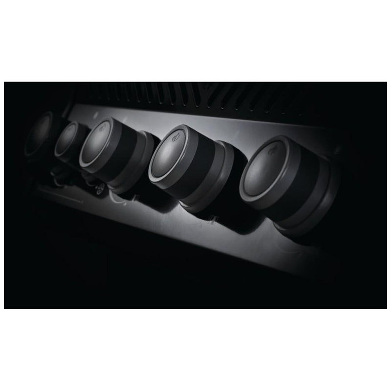 Load image into Gallery viewer, Rogue BBQ Grill