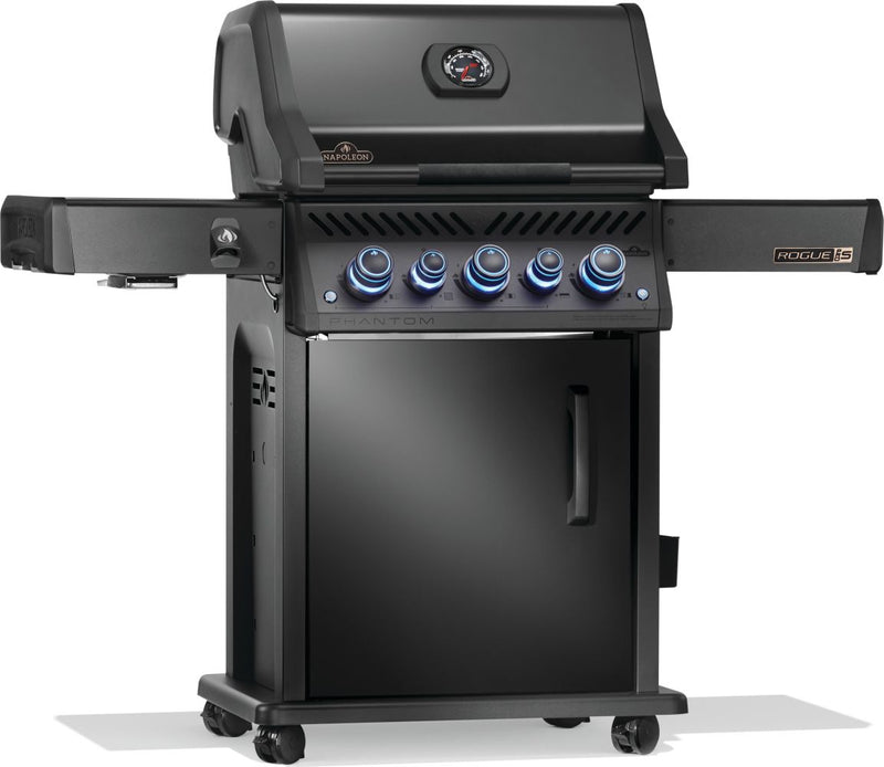 Load image into Gallery viewer, Napoleon Barbecues, Napoleon Barbecues Mississauga, Napoleon Barbecues Toronto fireplace mississauga.