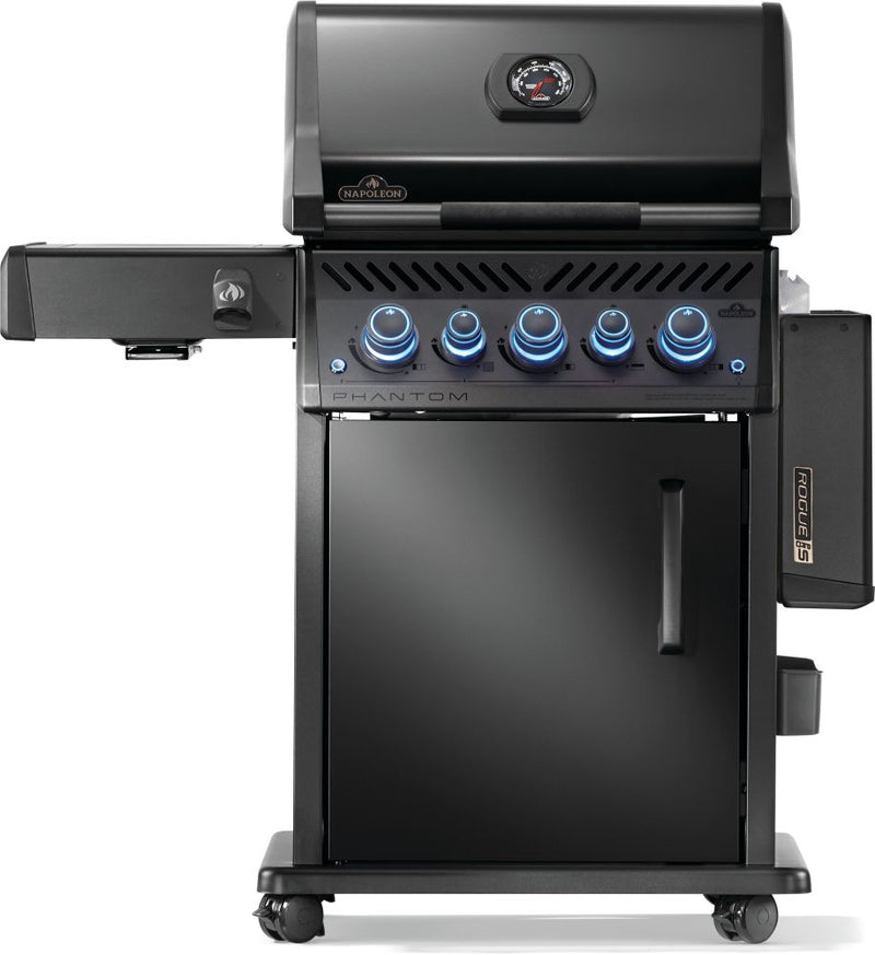 Load image into Gallery viewer, Napoleon Barbecues, Napoleon Barbecues Mississauga, Napoleon Barbecues Toronto fireplace mississauga.