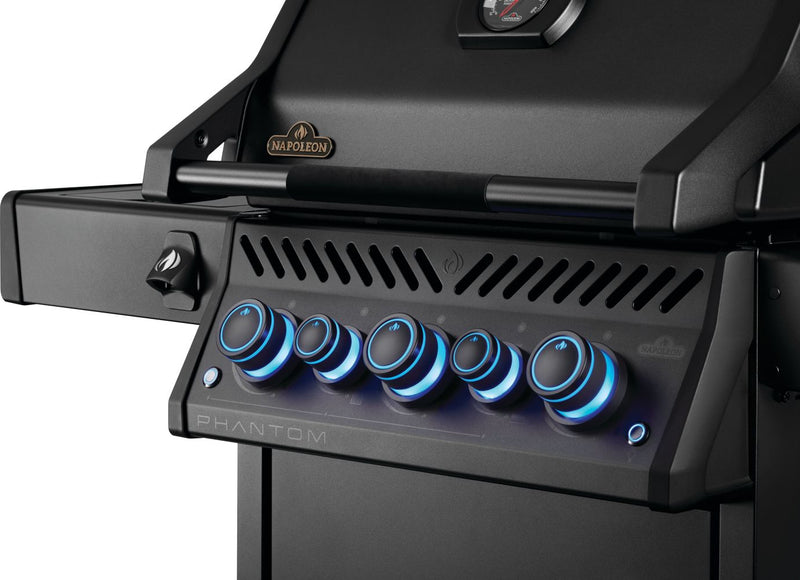 Load image into Gallery viewer, Napoleon Barbecues, Napoleon Barbecues Mississauga, Napoleon Barbecues Toronto fireplace mississauga.