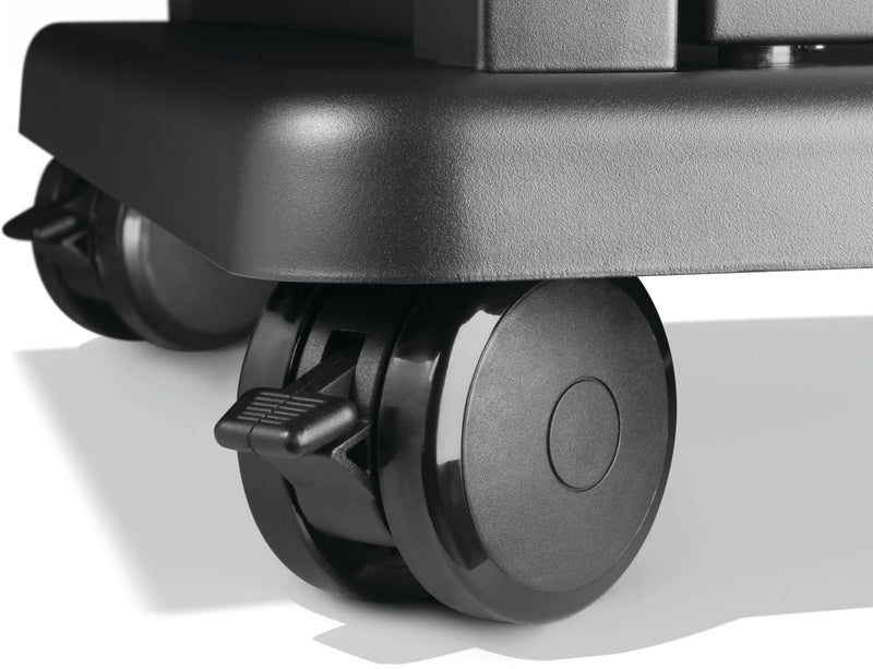 Load image into Gallery viewer, Napoleon Barbecues, Napoleon Barbecues Mississauga, Napoleon Barbecues Toronto fireplace mississauga.