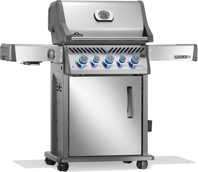 Load image into Gallery viewer, Napoleon Barbecues, Napoleon Barbecues Mississauga, Napoleon Barbecues Toronto fireplace mississauga.