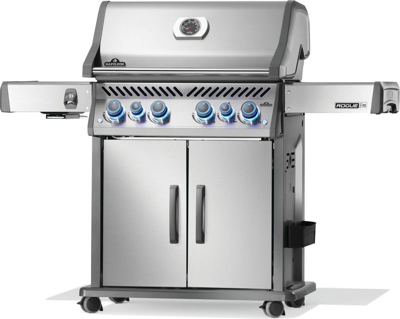 Load image into Gallery viewer, Napoleon Barbecues, Napoleon Barbecues Mississauga, Napoleon Barbecues Toronto fireplace mississauga.