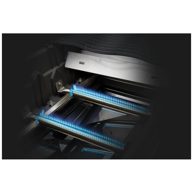 Load image into Gallery viewer, Rogue BBQ Grill