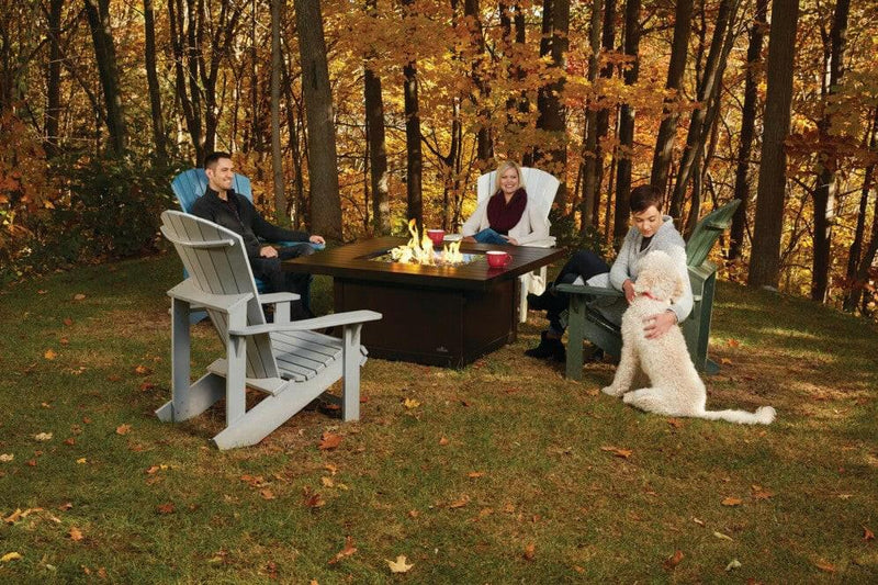 Load image into Gallery viewer, Napoleon Outdoor Fireplaces, Napoleon Outdoor Fireplaces Mississauga, Napoleon Outdoor Fireplaces Toronto fireplace mississauga.