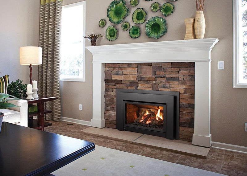 Load image into Gallery viewer, Regency® Energy™ U31 Gas Insert
