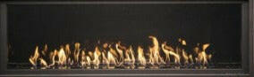 WS54 Gas Fireplace