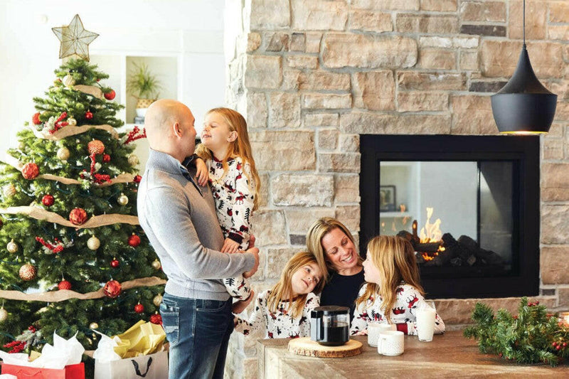 Load image into Gallery viewer, Napoleon Fireplaces, Napoleon Fireplaces Mississauga, Napoleon Fireplaces Toronto fireplace mississauga.