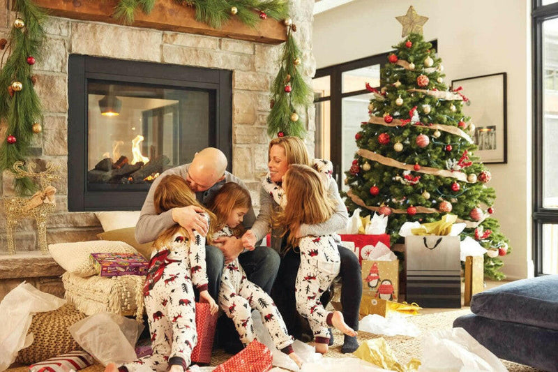 Load image into Gallery viewer, Napoleon Fireplaces, Napoleon Fireplaces Mississauga, Napoleon Fireplaces Toronto fireplace mississauga.