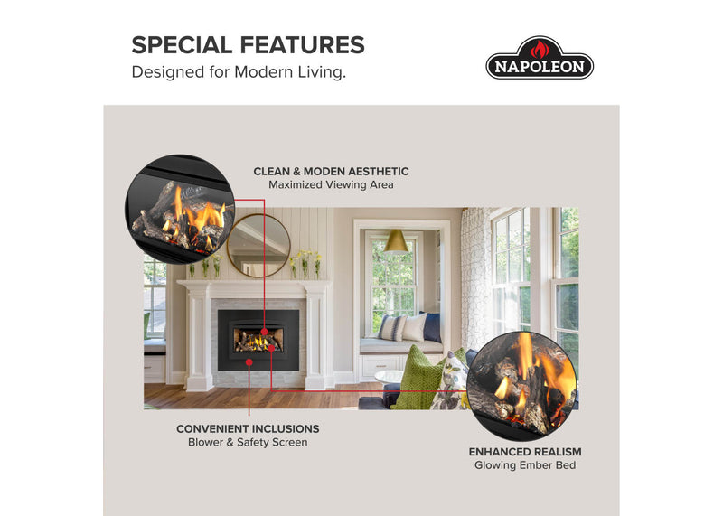 Load image into Gallery viewer, Rosedale™ 2 Napoleon Gas Insert