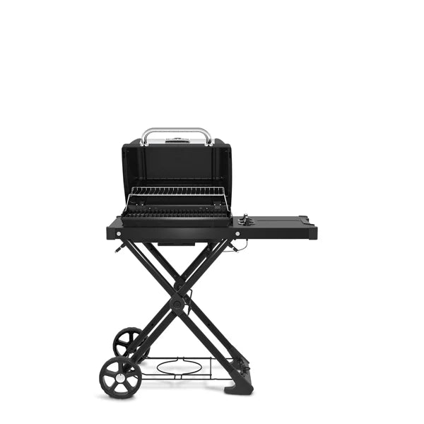 Load image into Gallery viewer, Broil King Barbecues, Broil King Barbecues Mississauga, Broil King Barbecues Toronto fireplace mississauga.