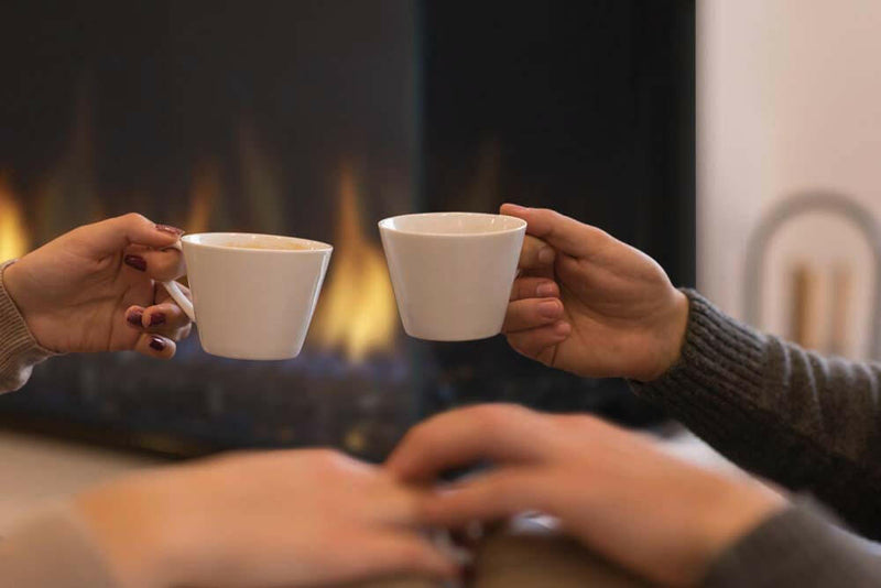 Load image into Gallery viewer, Regency Gas Insert, Regency Gas Insert Mississauga, Regency Gas Insert Toronto fireplace mississauga.