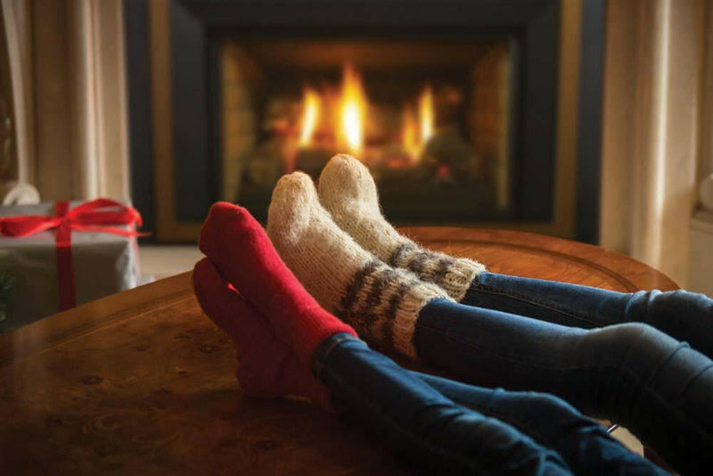 Load image into Gallery viewer, Fireplaces Regency Mississauga (HRI3E GAS INSERT).