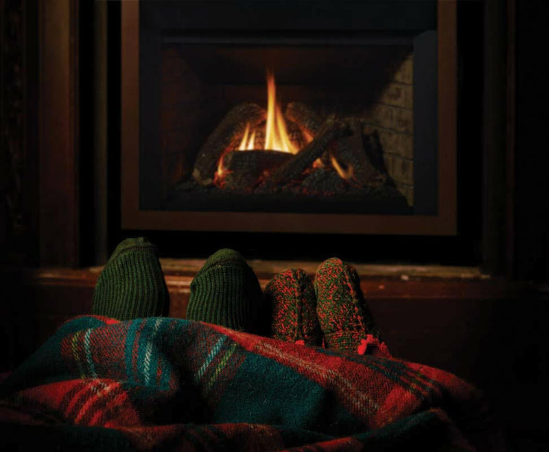 Load image into Gallery viewer, Fireplaces Regency Mississauga (HRI6E GAS INSERT).