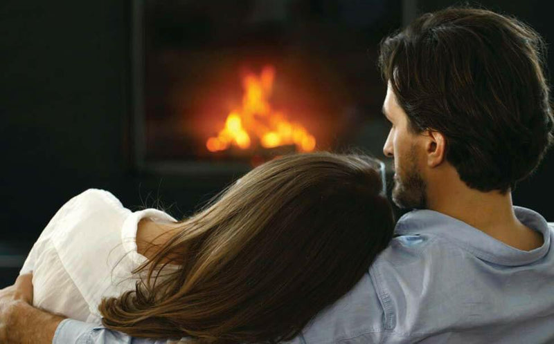 Load image into Gallery viewer, Regency Gas Insert, Regency Gas Insert Mississauga, Regency Gas Insert Toronto fireplace mississauga.