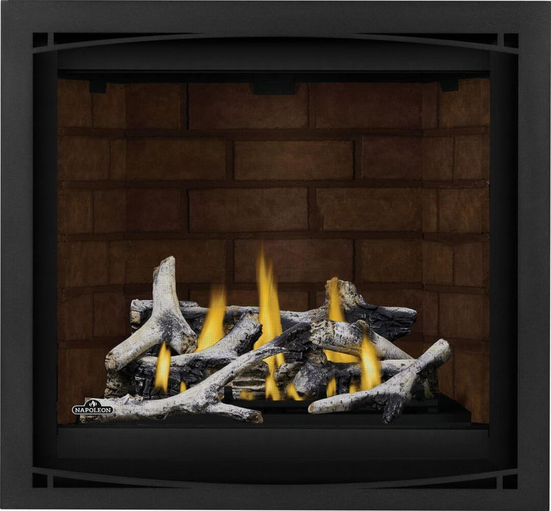Load image into Gallery viewer, Altitude™ X 36 Napoleon Gas Fireplace