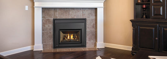 Energy™ E18E Regency® Gas Insert