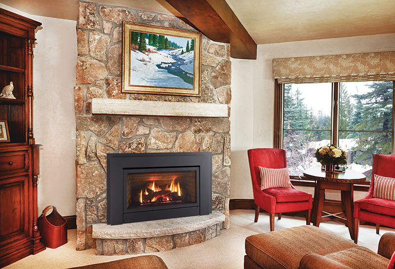 Load image into Gallery viewer, Energy™ E33 Regency® Gas Insert
