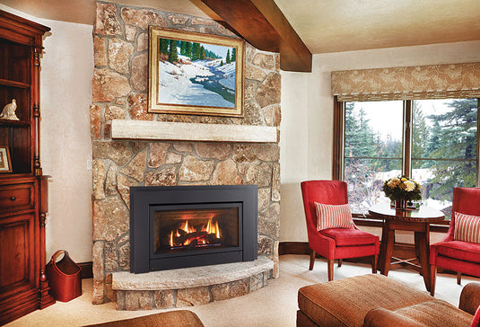 Energy™ E33 Regency® Gas Insert