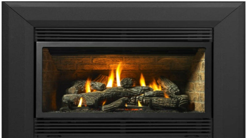 Load image into Gallery viewer, Fireplaces Regency Mississauga (U31 GAS INSERT).
